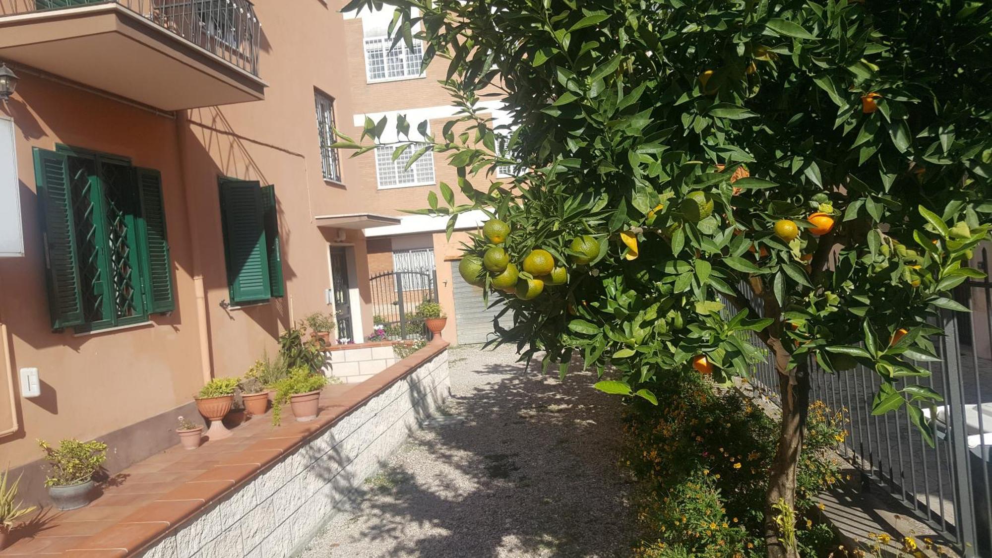 La Casa Del Fornaio Apartment Ciampino Bagian luar foto